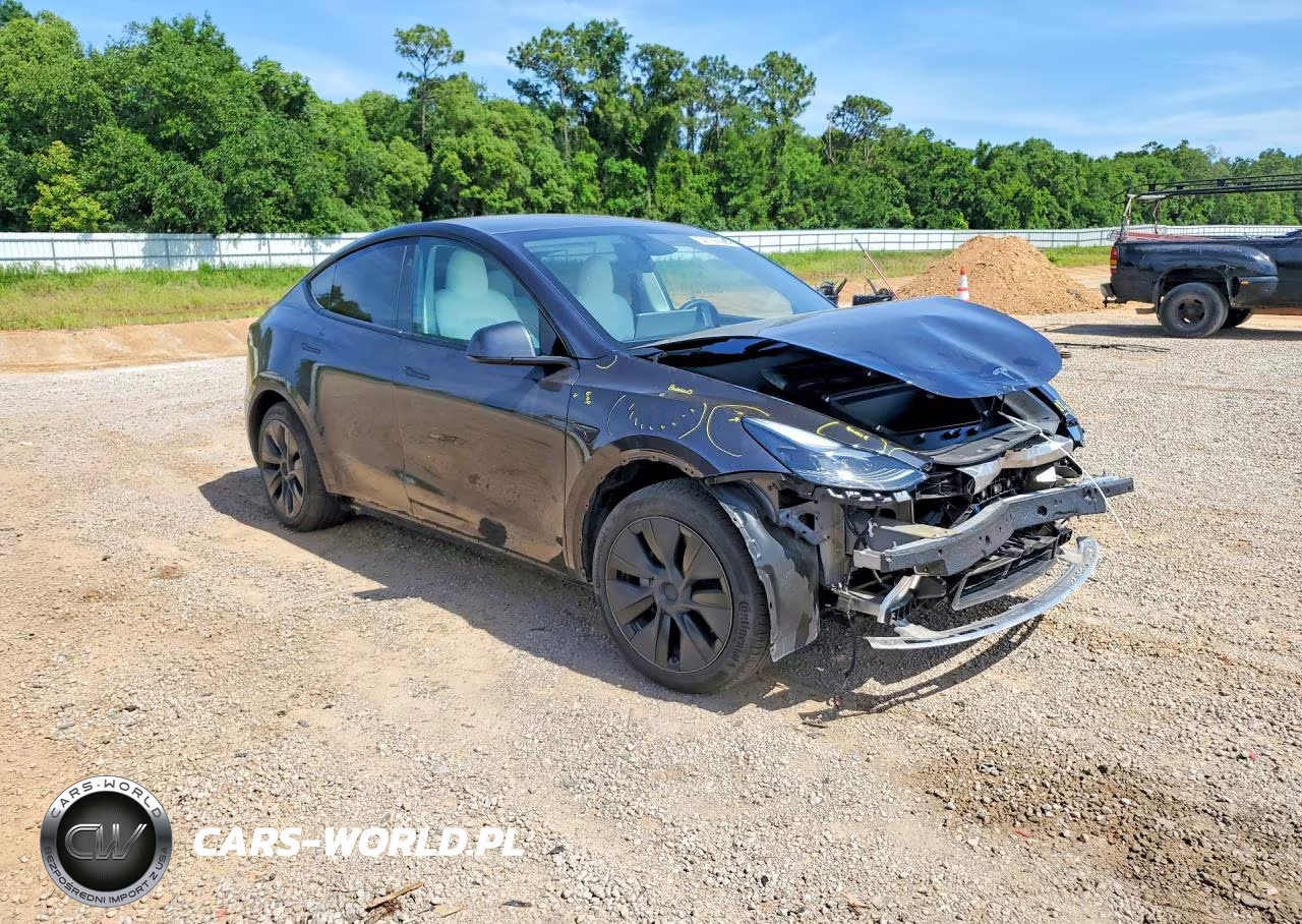 2025 Tesla Model Y VIN:7SAYGDED0SF319813 - 4