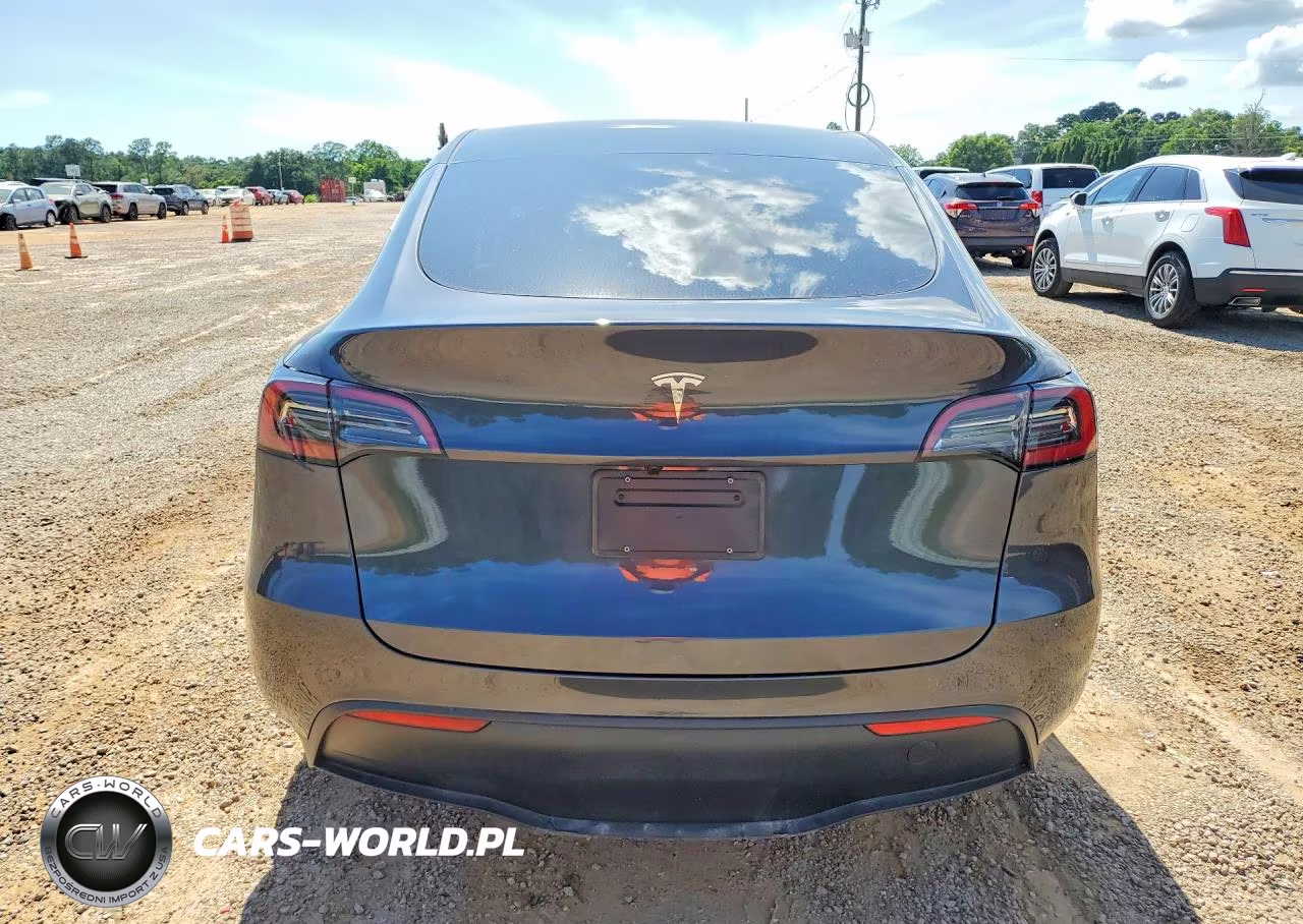 2025 Tesla Model Y VIN:7SAYGDED0SF319813 - 6