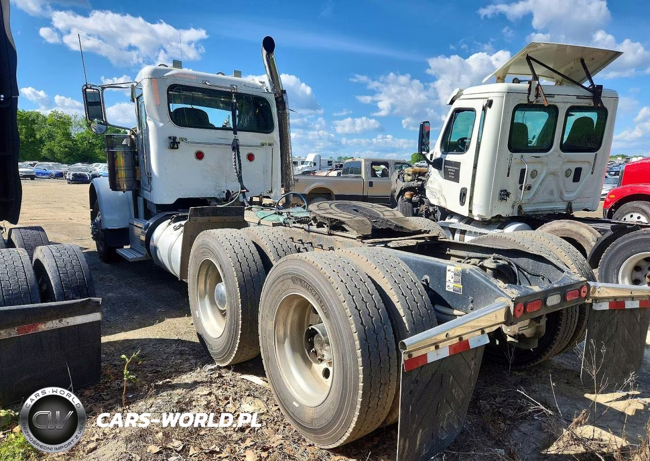 2019 Peterbilt 389 Semi Truck VIN:1XPXD49X1KD631392 - 3