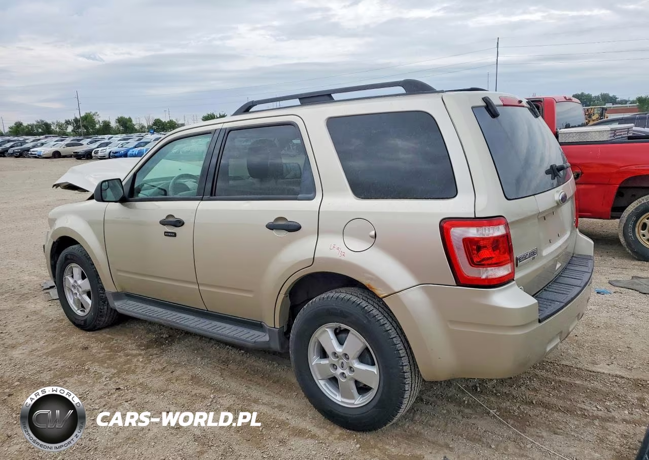 2010 Ford Escape Xlt VIN:1FMCU9DG8AKA31575 - 2