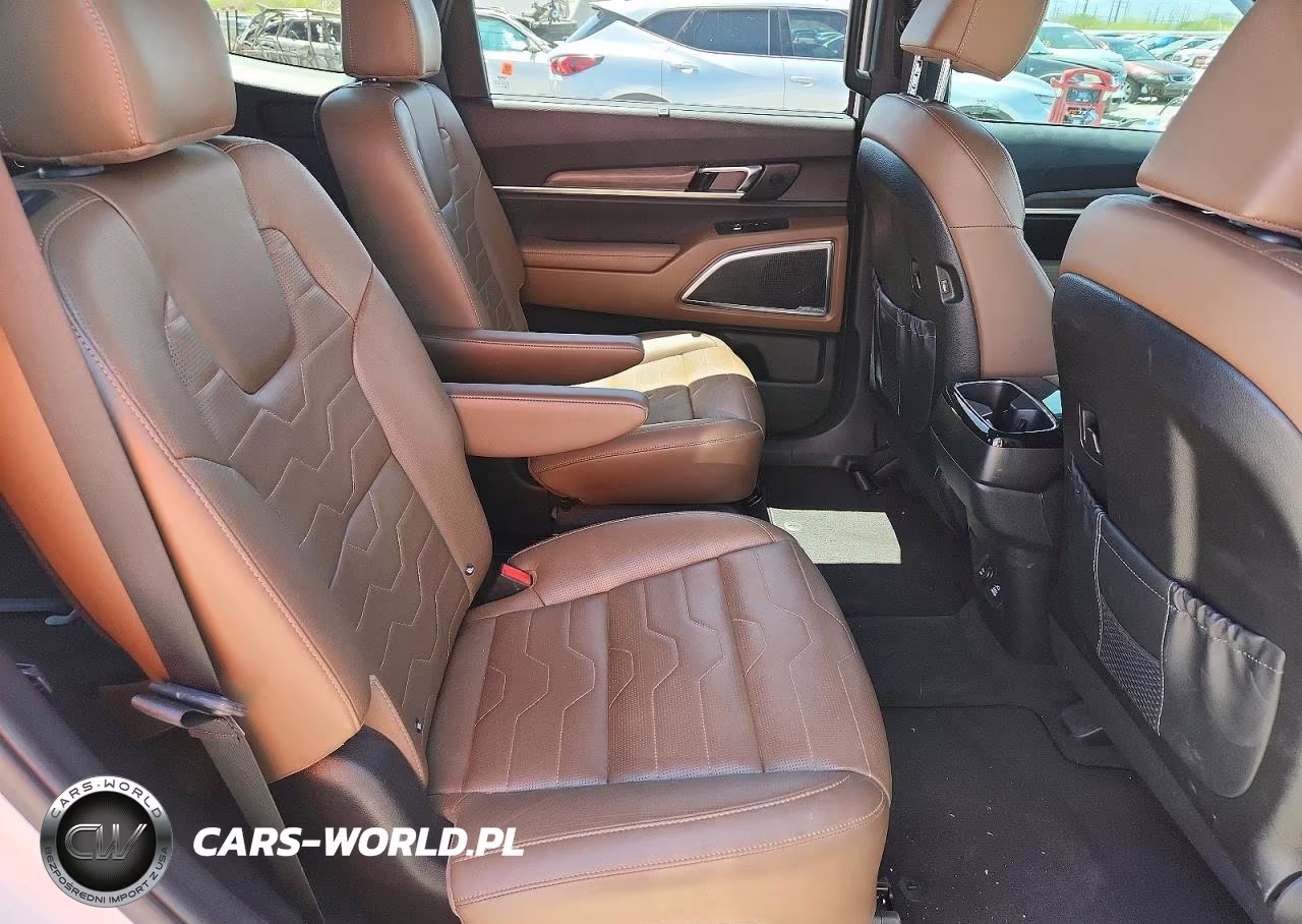 2022 Kia Telluride Sx VIN:5XYP5DHC3NG293741 - 10