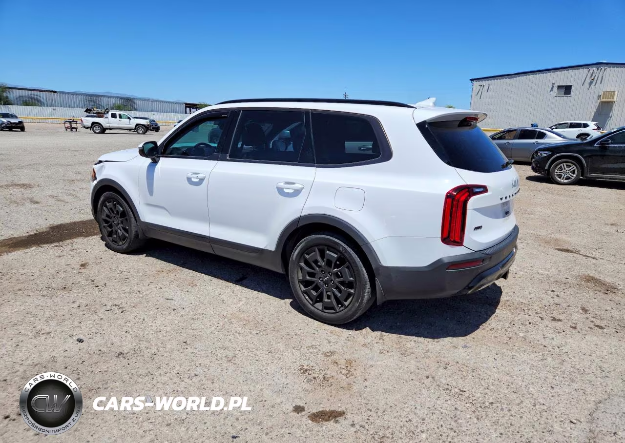 2022 Kia Telluride Sx VIN:5XYP5DHC3NG293741 - 2