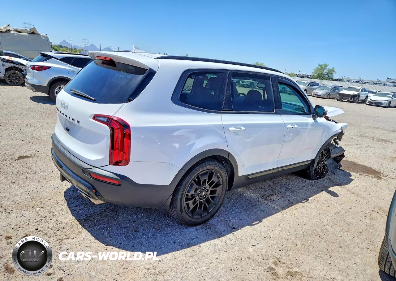2022 Kia Telluride Sx VIN:5XYP5DHC3NG293741 - 3