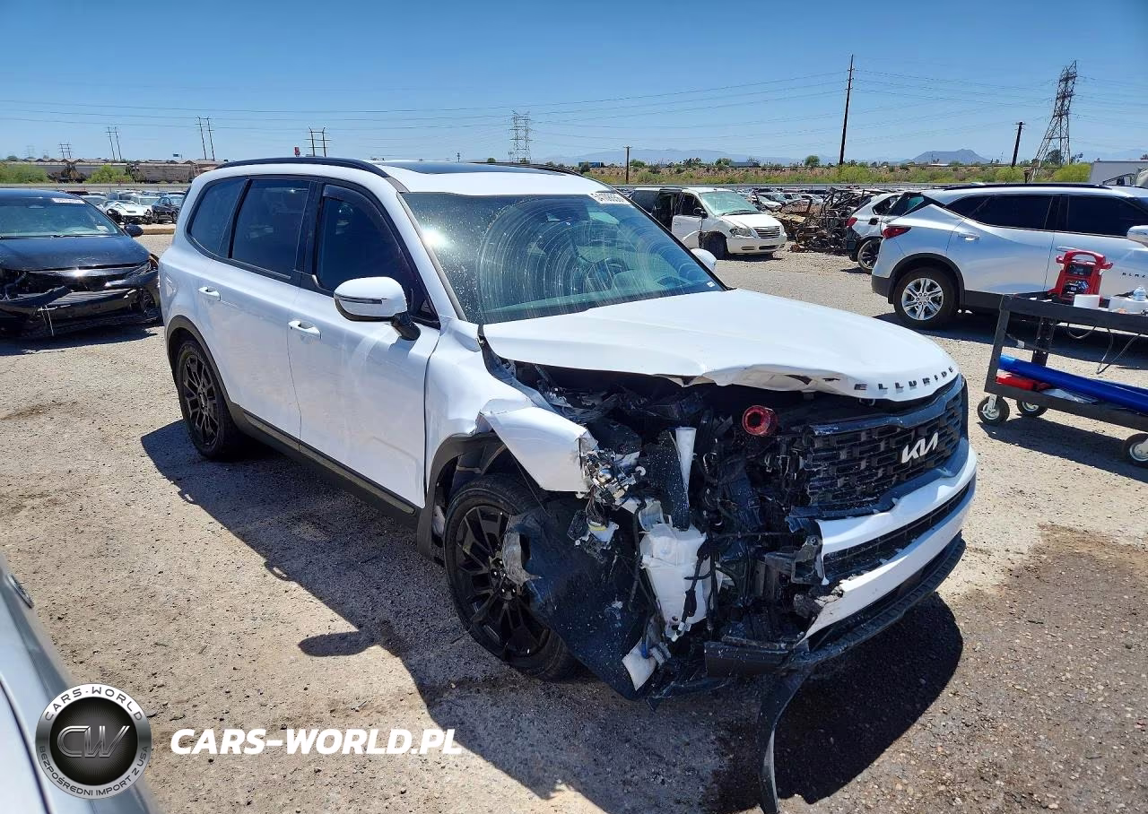 2022 Kia Telluride Sx VIN:5XYP5DHC3NG293741 - 4