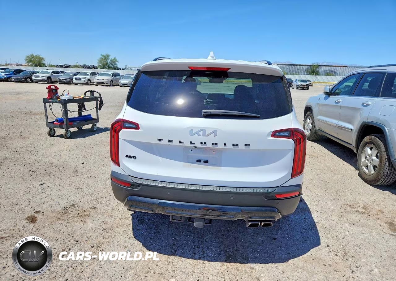 2022 Kia Telluride Sx VIN:5XYP5DHC3NG293741 - 6