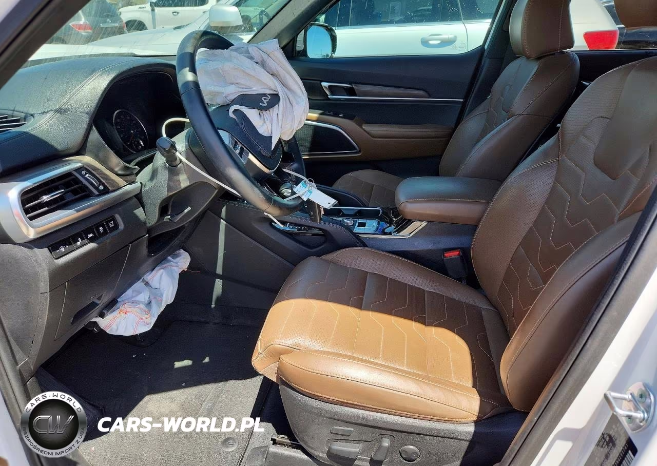 2022 Kia Telluride Sx VIN:5XYP5DHC3NG293741 - 7