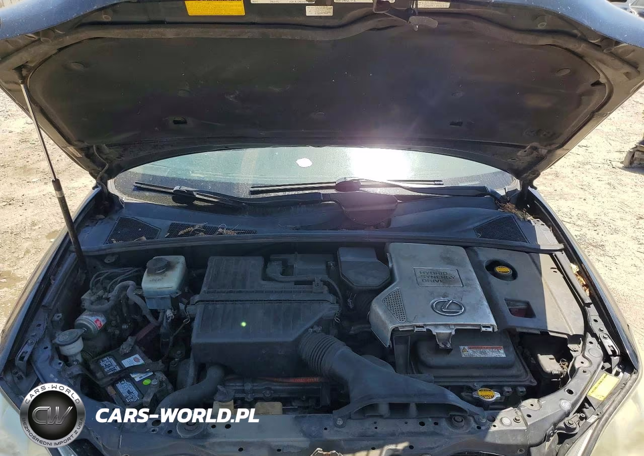 2006 Lexus Rx 400 VIN:JTJHW31U860021933 - 12