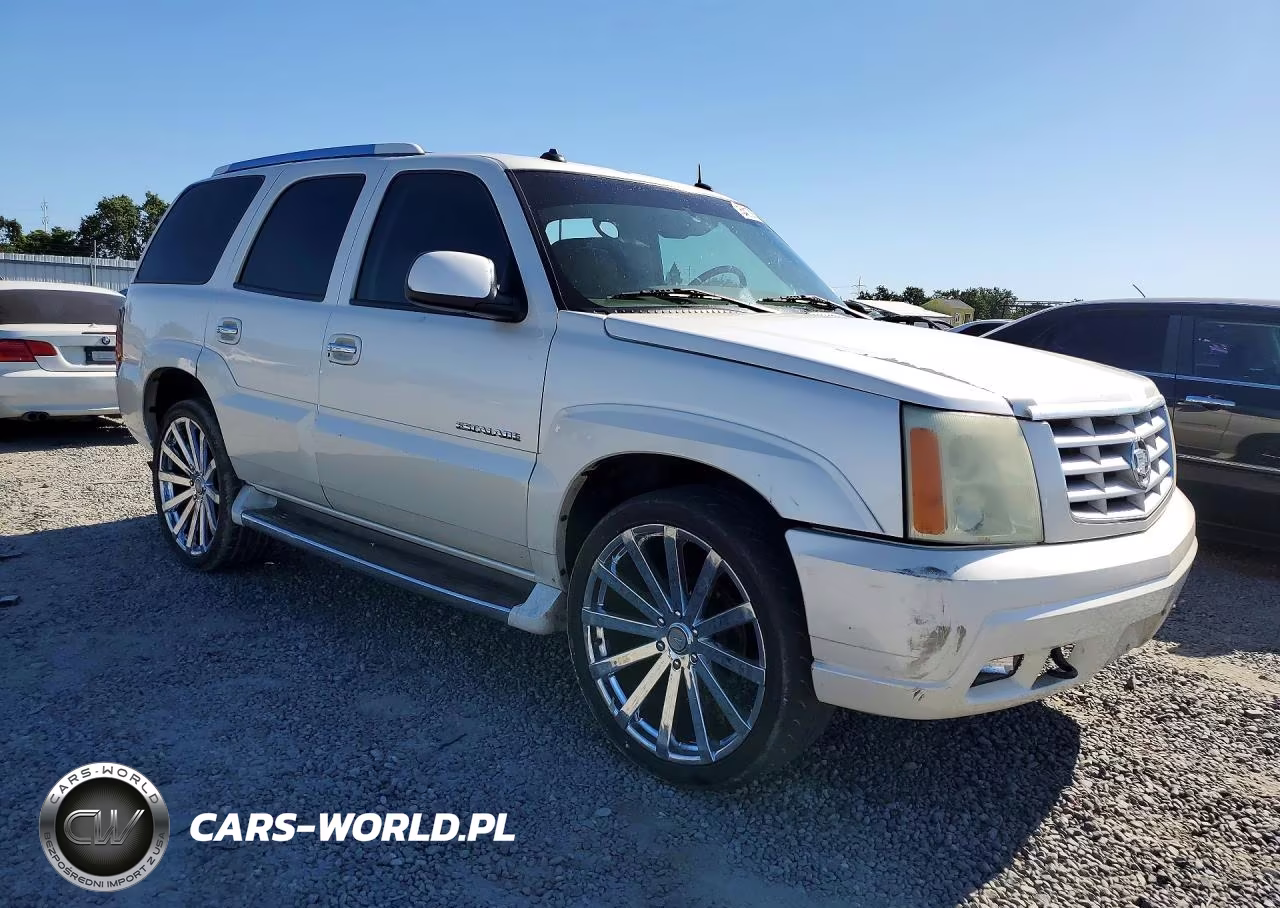 2003 Cadillac Escalade Luxury VIN:1GYEK63N33R293901 - 4