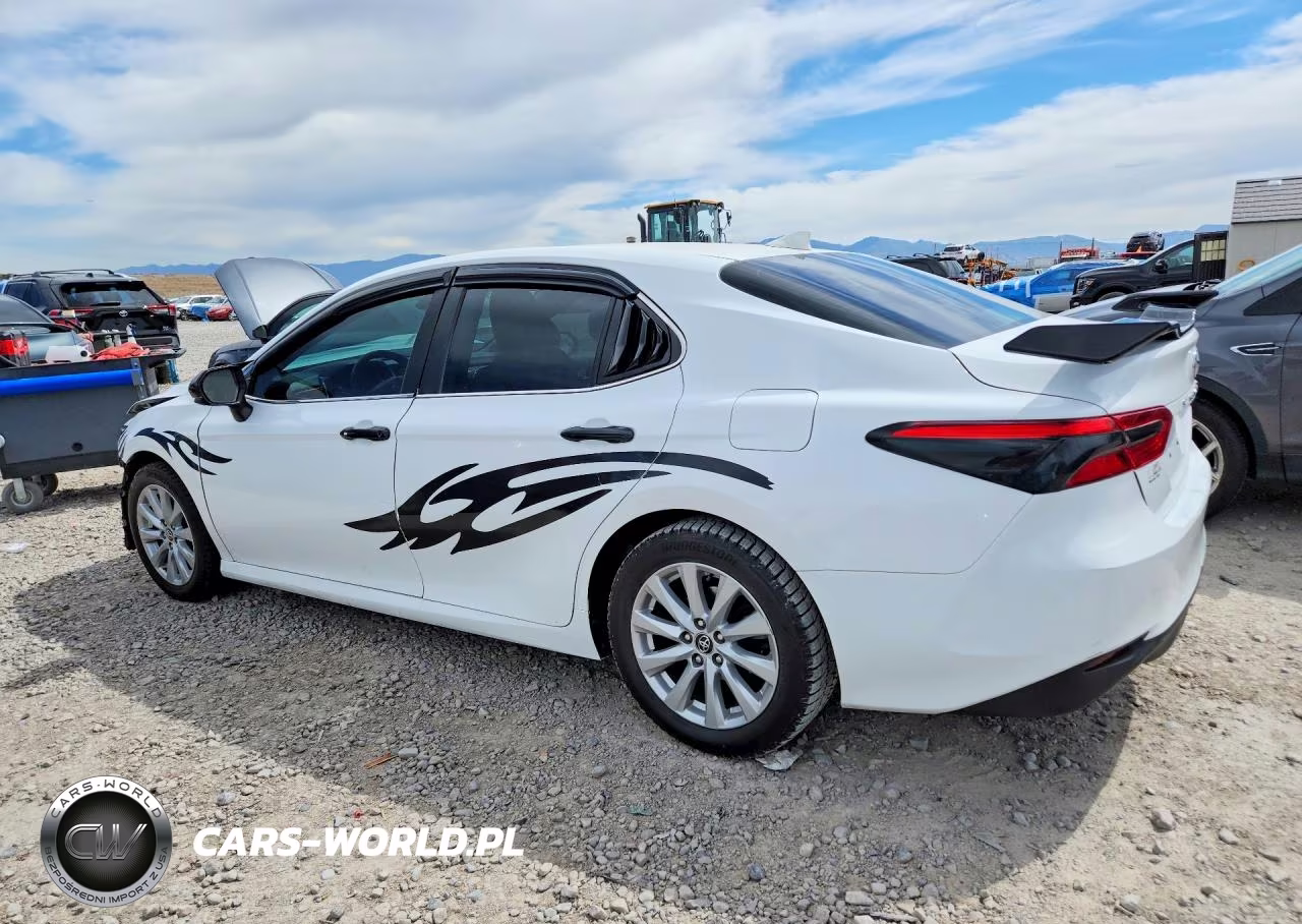 2020 Toyota Camry Le VIN:4T1C11AK1LU927873 - 2