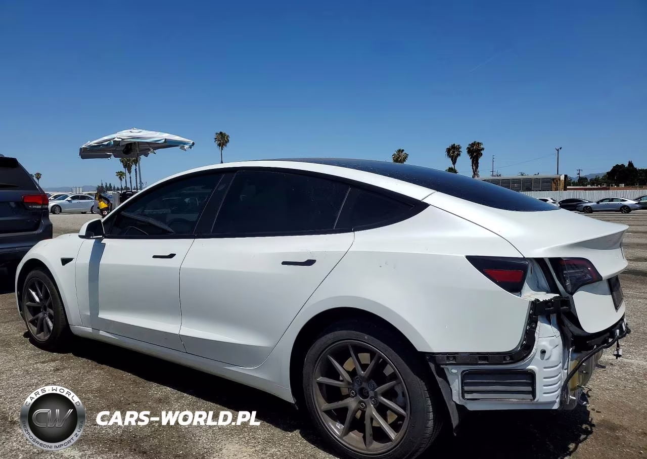 2023 Tesla Model 3 VIN:5YJ3E1EA2PF587769 - 2