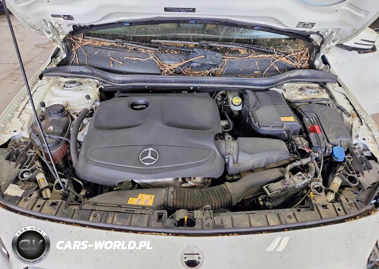2016 Mercedes-Benz Gla 250 4Matic VIN:WDCTG4GB7GJ203036 - 12