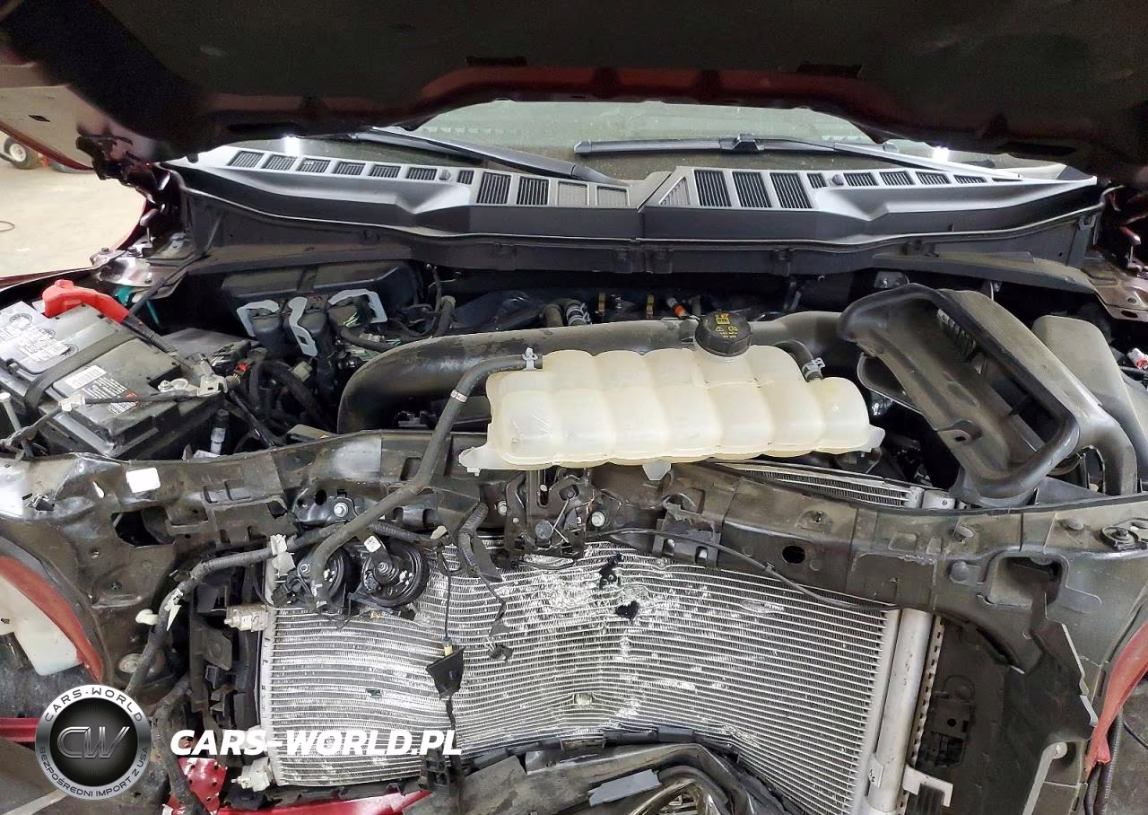 2024 Ford F150 Xlt VIN:1FTFW3L80RKD43517 - 11