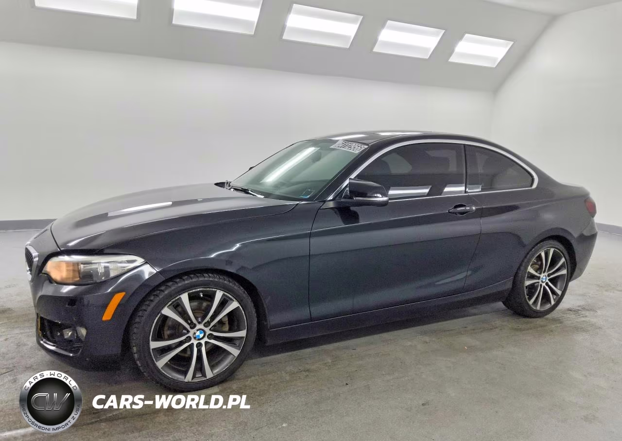 2017 BMW 230Xi