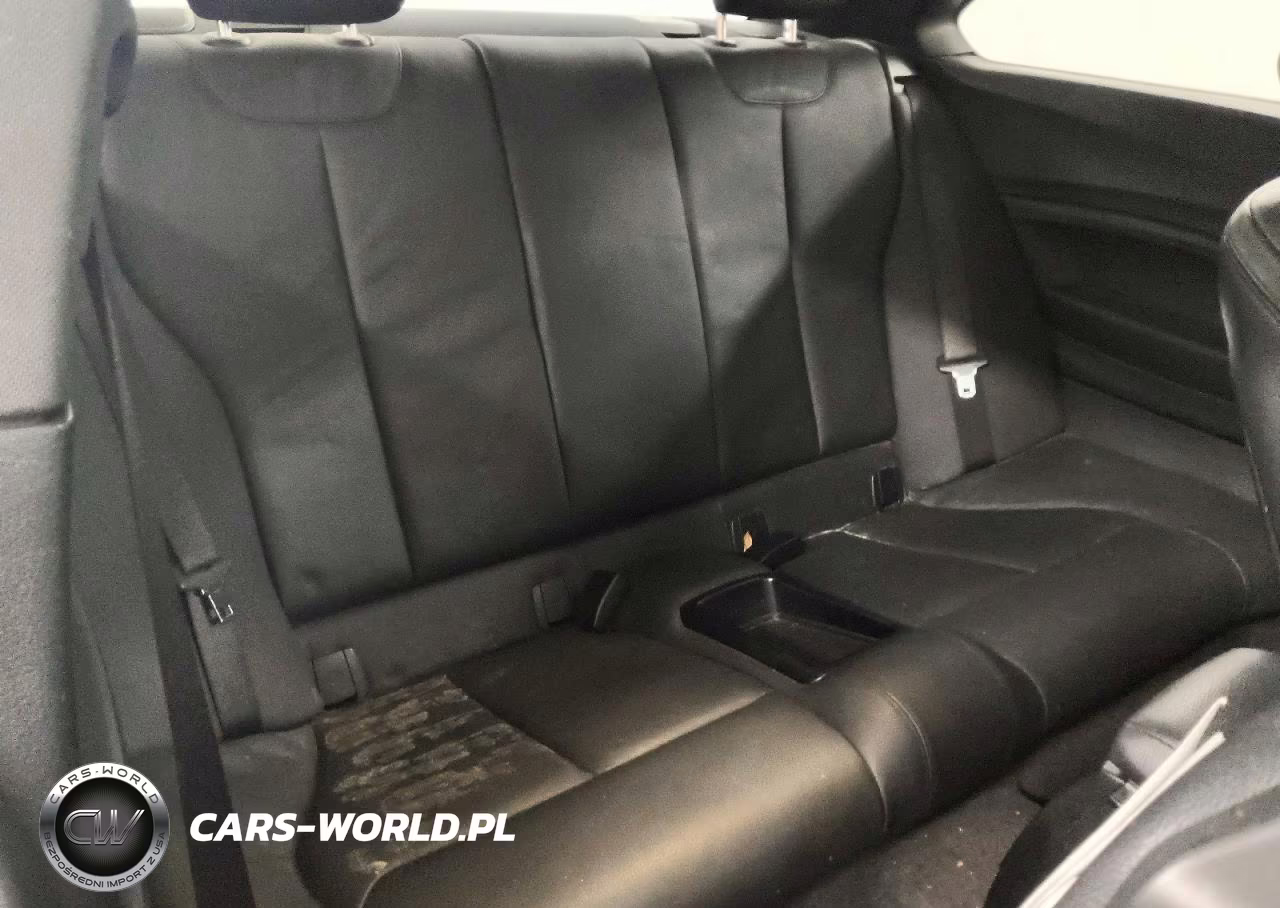 2017 BMW 230Xi VIN:WBA2H9C34HV987015 - 10