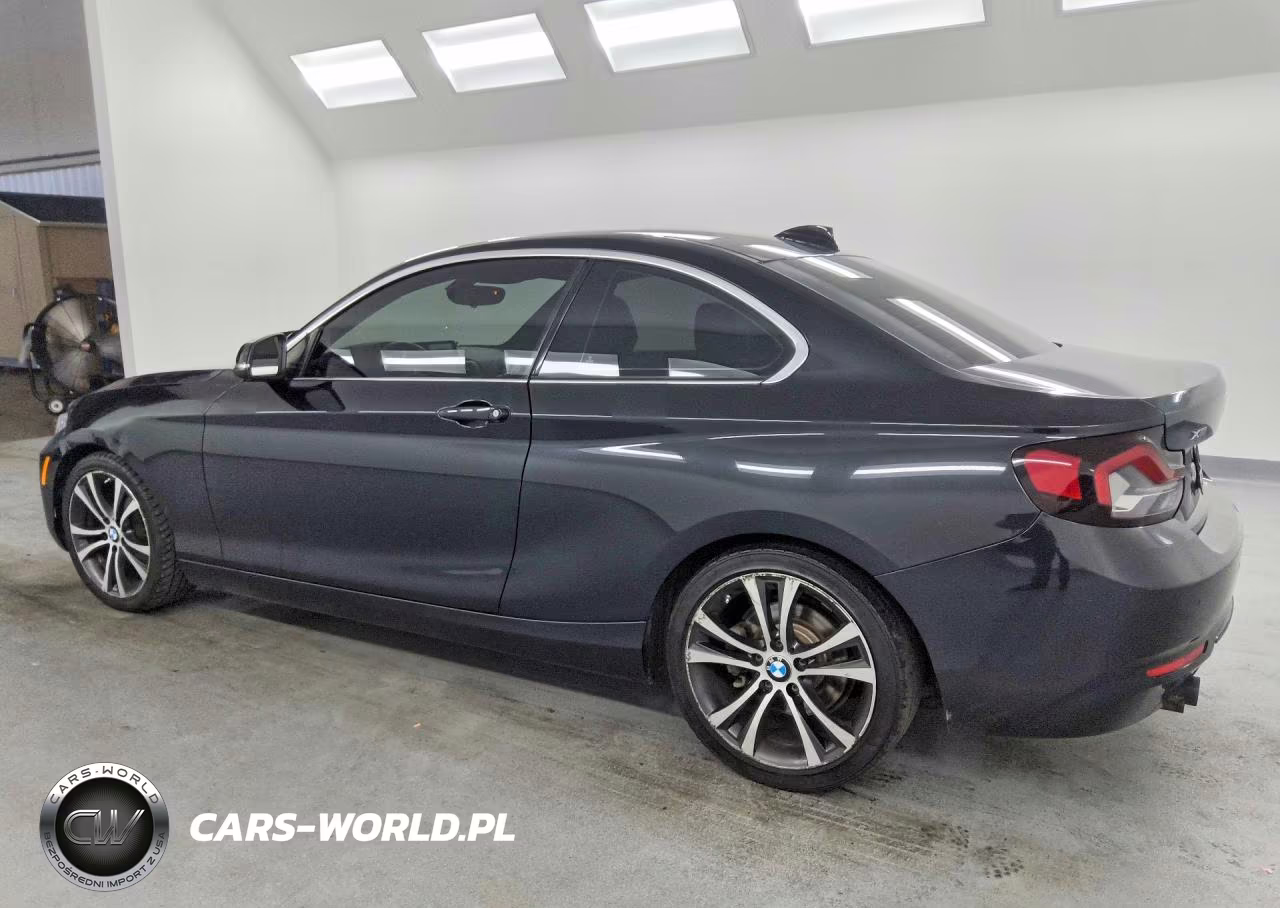 2017 BMW 230Xi VIN:WBA2H9C34HV987015 - 2
