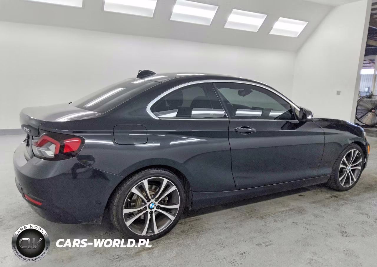 2017 BMW 230Xi VIN:WBA2H9C34HV987015 - 3
