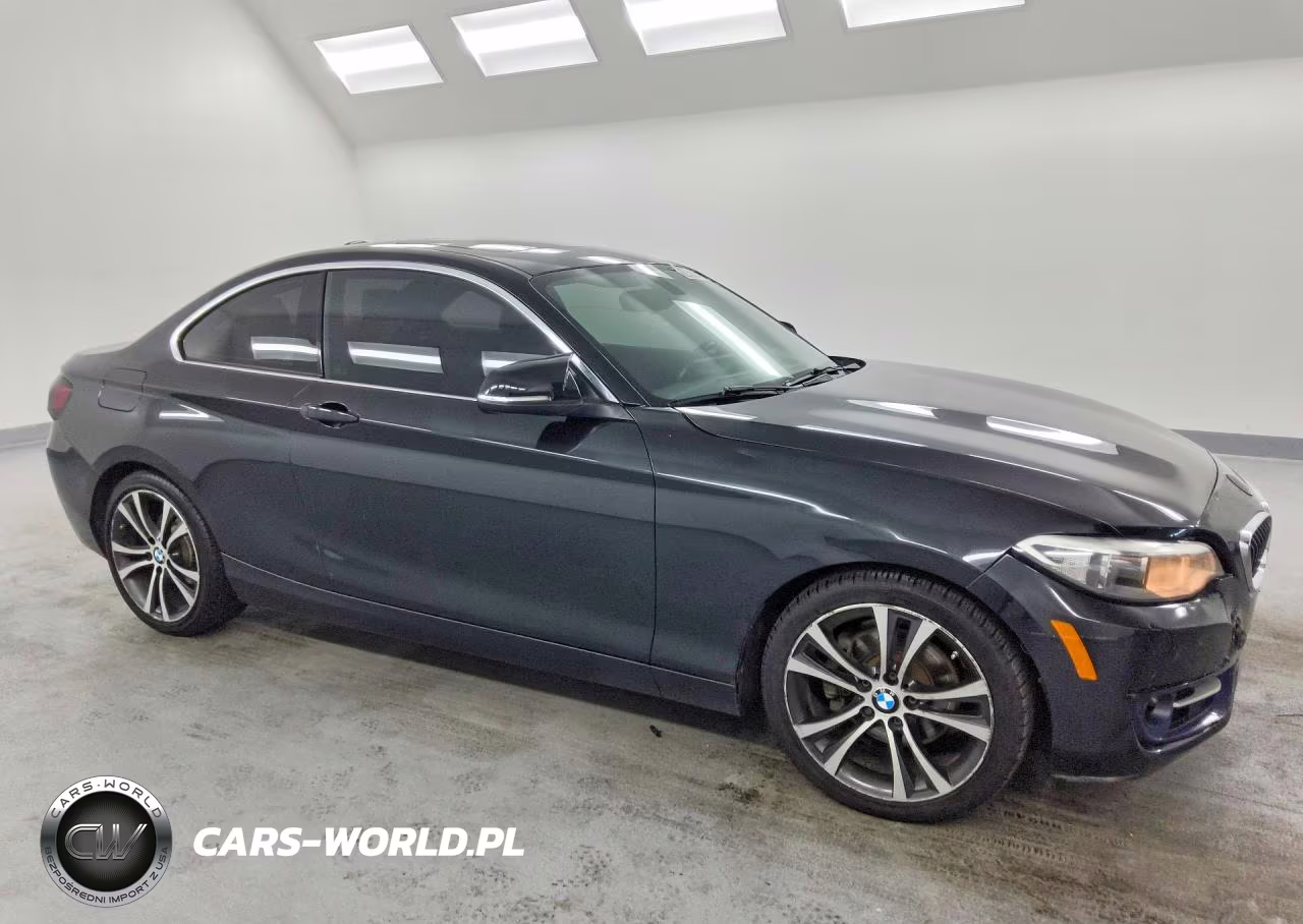 2017 BMW 230Xi VIN:WBA2H9C34HV987015 - 4