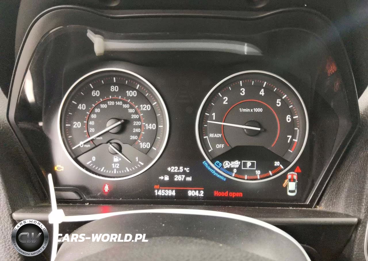 2017 BMW 230Xi VIN:WBA2H9C34HV987015 - 9