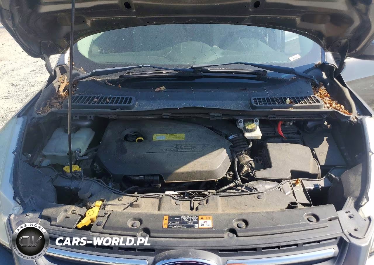 2014 Ford Escape Se VIN:1FMCU9GX5EUB95758 - 11