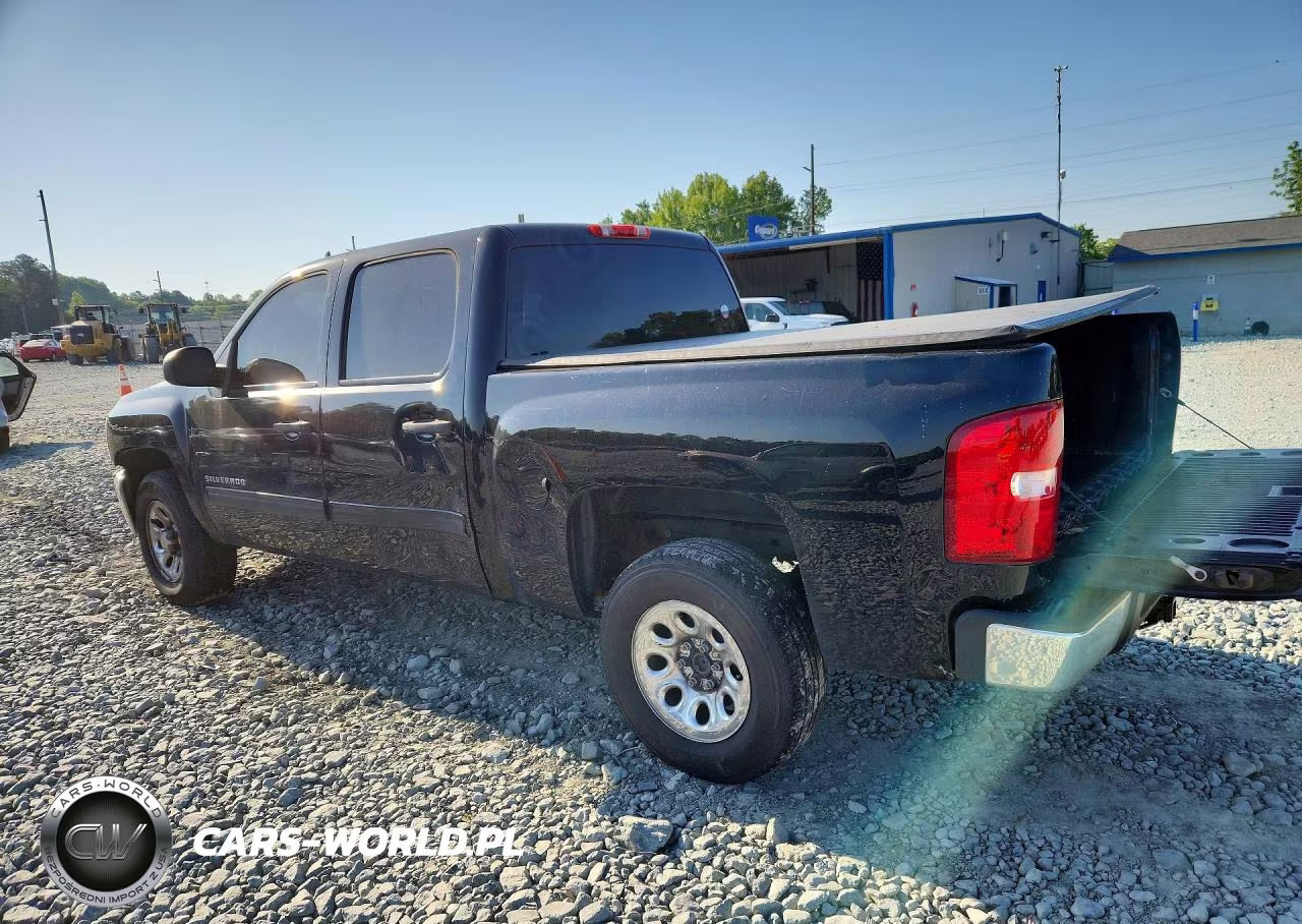 2013 Chevrolet Silverado C1500 Ls VIN:3GCPCREA9DG196419 - 2