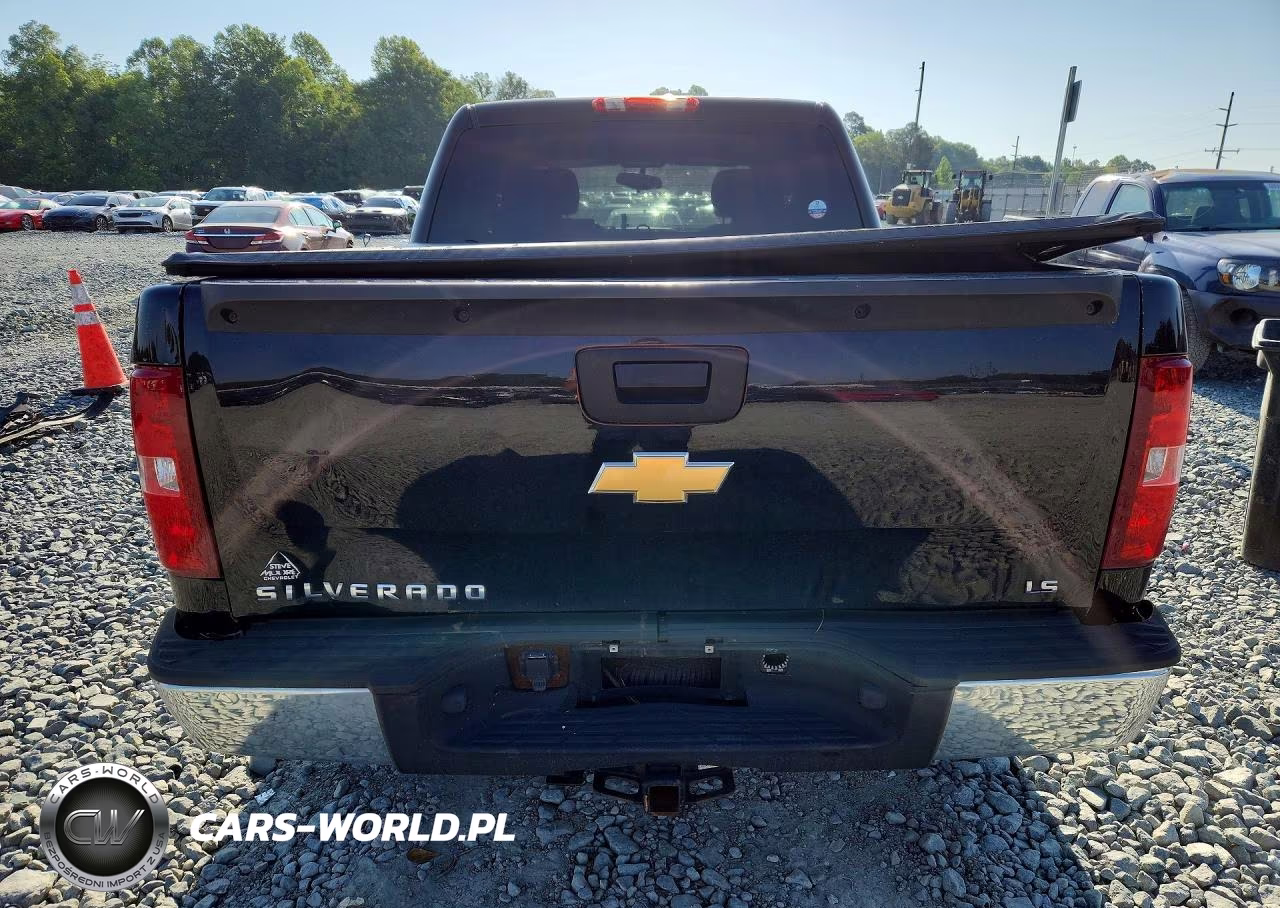 2013 Chevrolet Silverado C1500 Ls VIN:3GCPCREA9DG196419 - 6