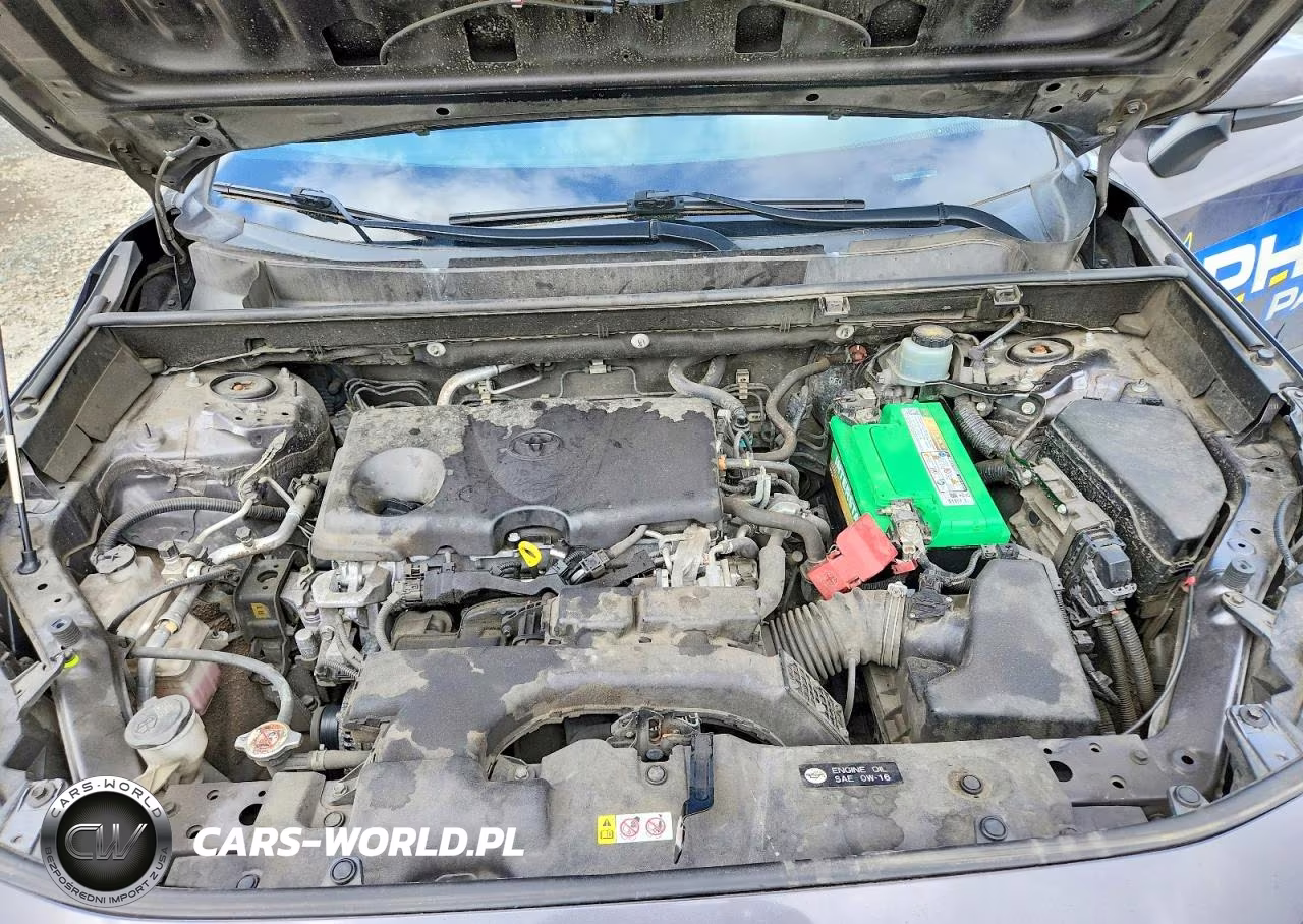 2019 Toyota Rav4 Le VIN:JTMG1RFV8KJ013157 - 12