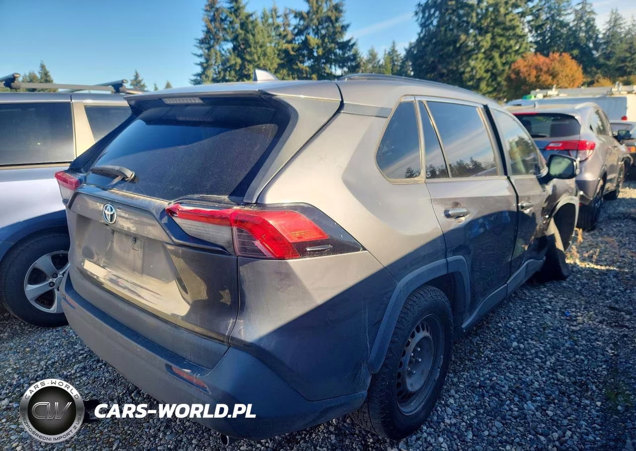 2019 Toyota Rav4 Le VIN:JTMG1RFV8KJ013157 - 3