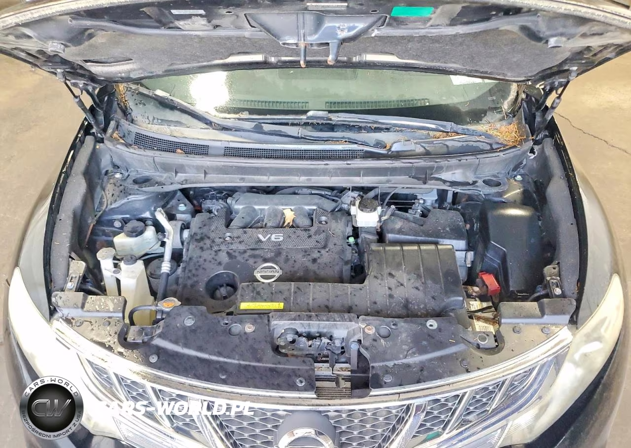 2013 Nissan Murano S VIN:JN8AZ1MW2DW311399 - 12