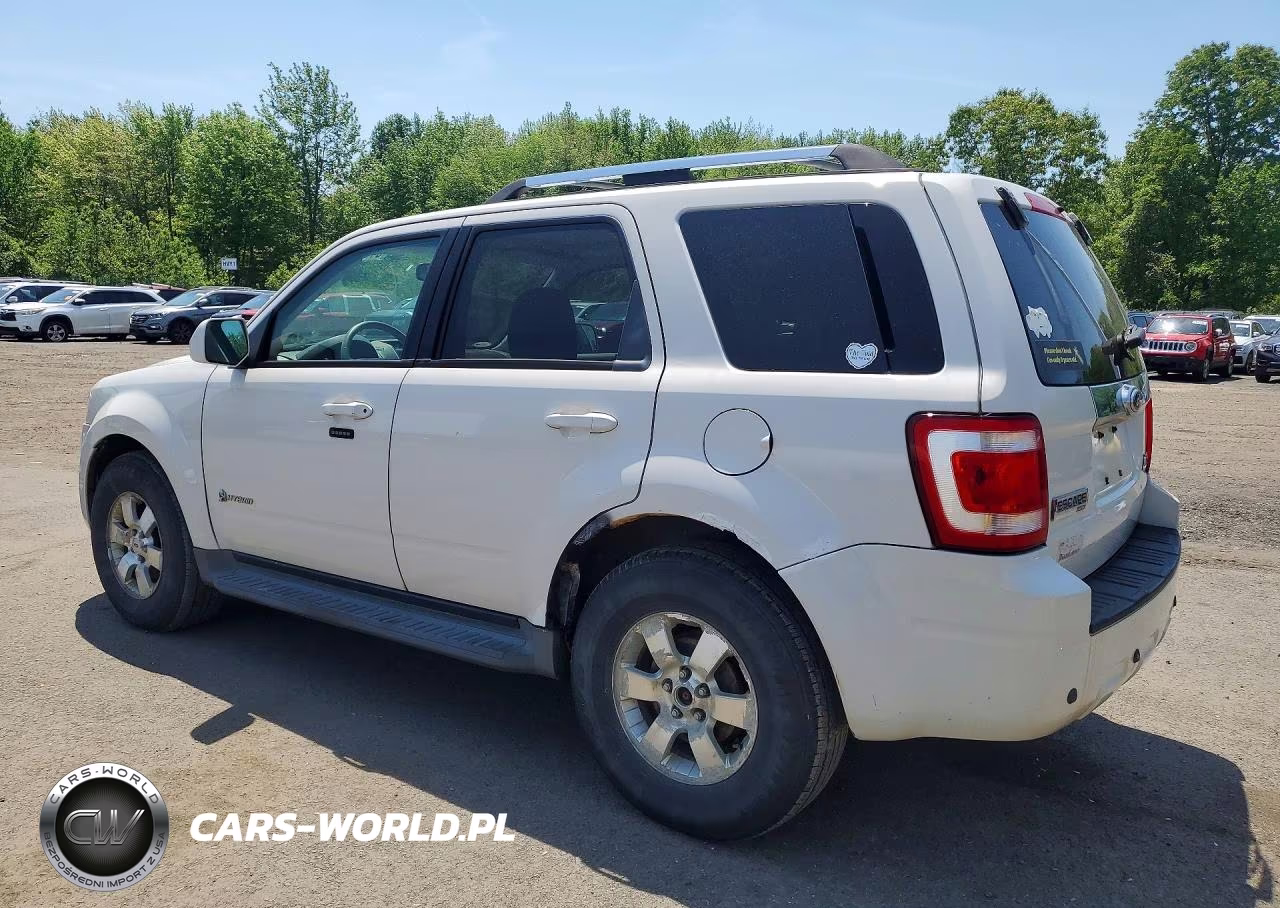 2009 Ford Escape Hybrid VIN:1FMCU593X9KA16229 - 2
