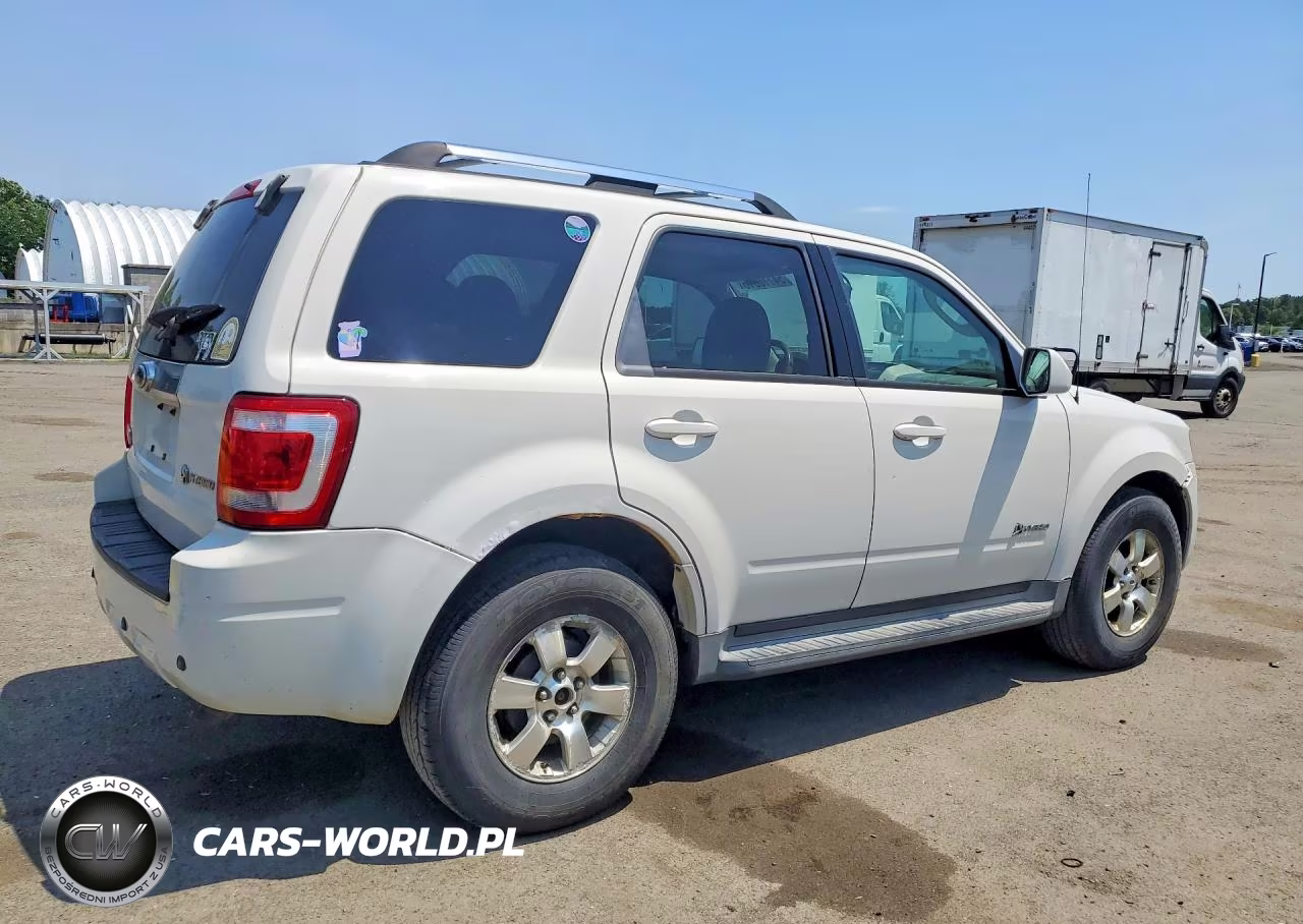 2009 Ford Escape Hybrid VIN:1FMCU593X9KA16229 - 3