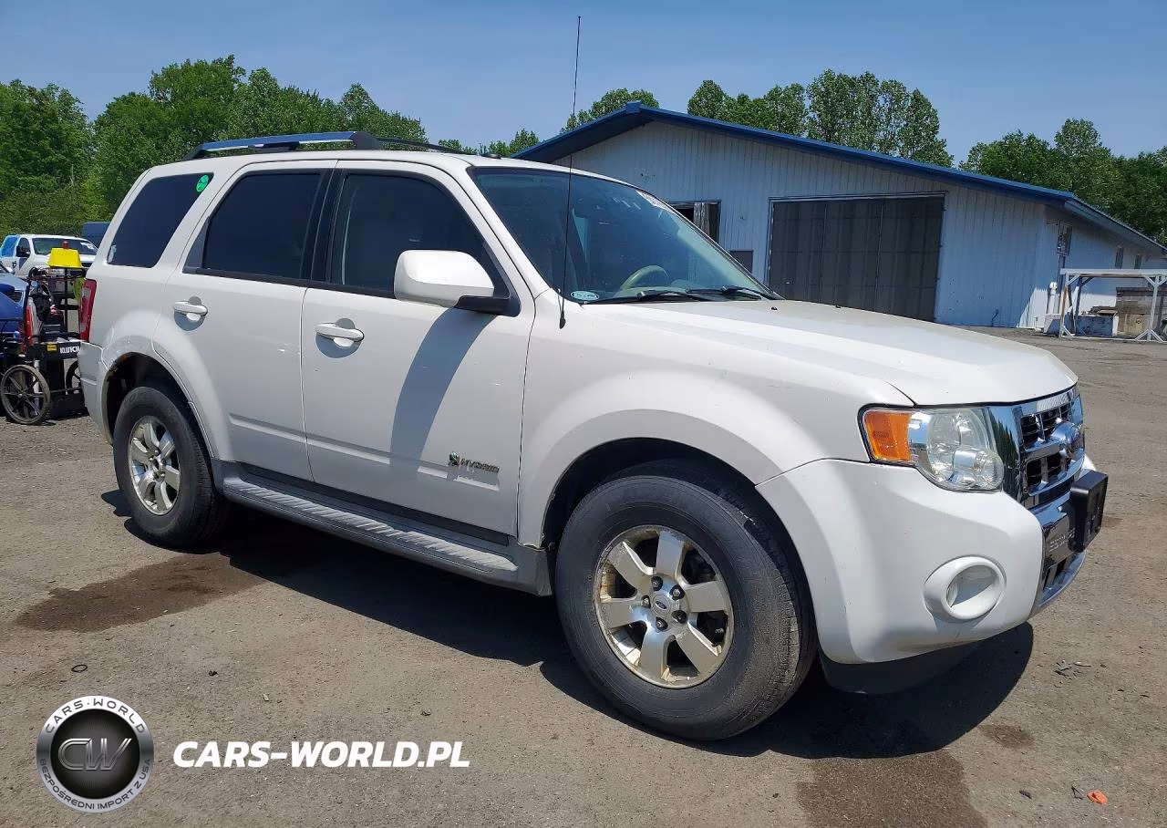 2009 Ford Escape Hybrid VIN:1FMCU593X9KA16229 - 4