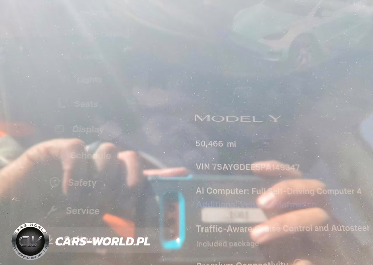 2023 Tesla Model Y VIN:7SAYGDEE5PA149347 - 9