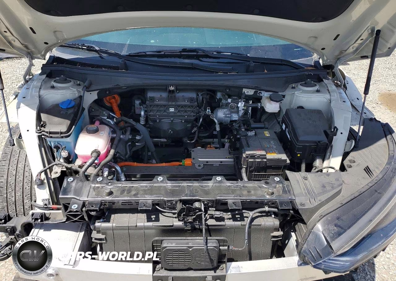 2024 Kia Ev6 Light Long Range VIN:KNDC34LA3R5200872 - 12
