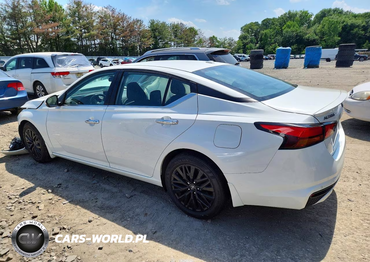 2025 Nissan Altima Sv VIN:1N4BL4DV0SN387819 - 2