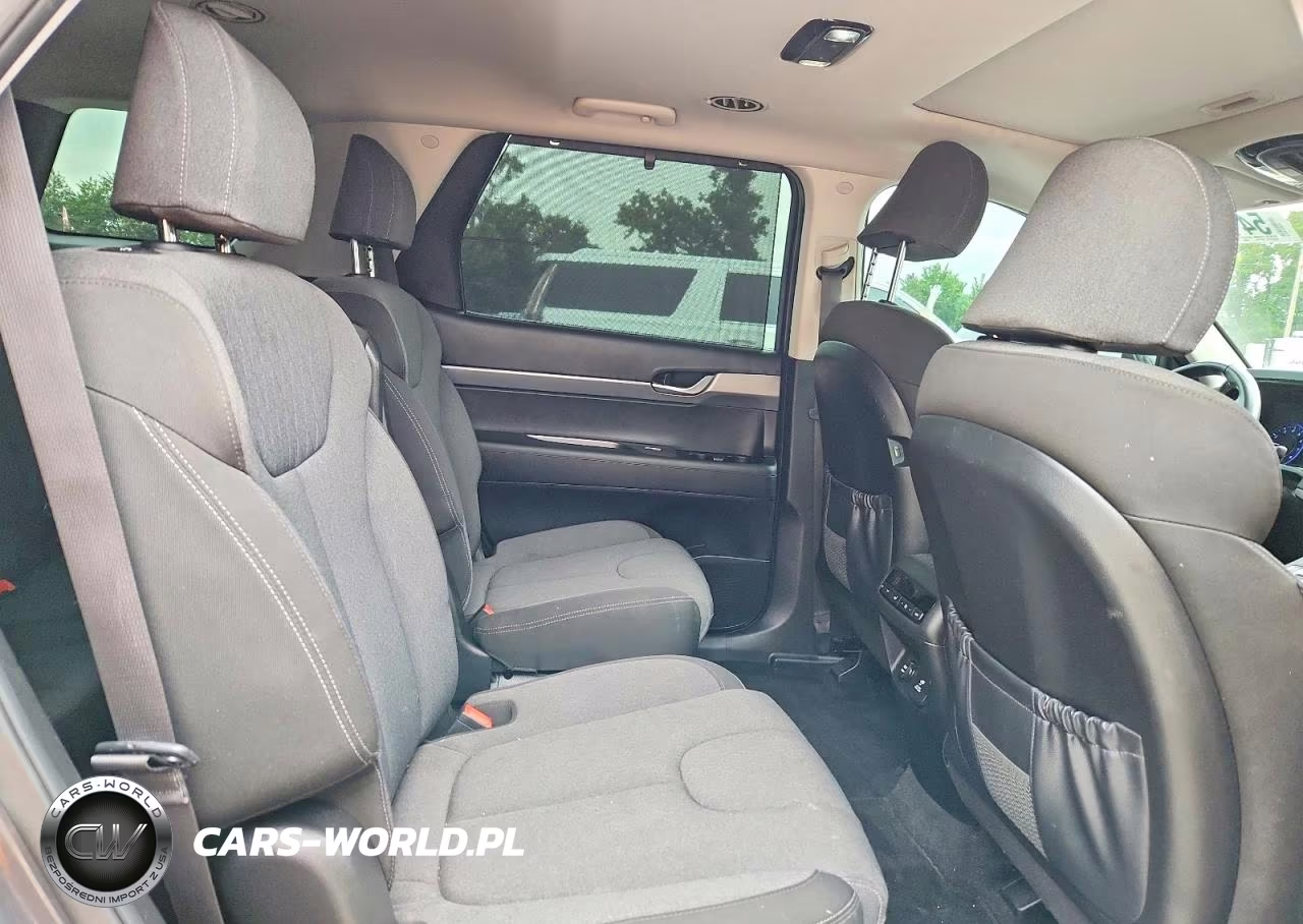 2020 Hyundai Palisade Sel VIN:KM8R34HE0LU105877 - 11