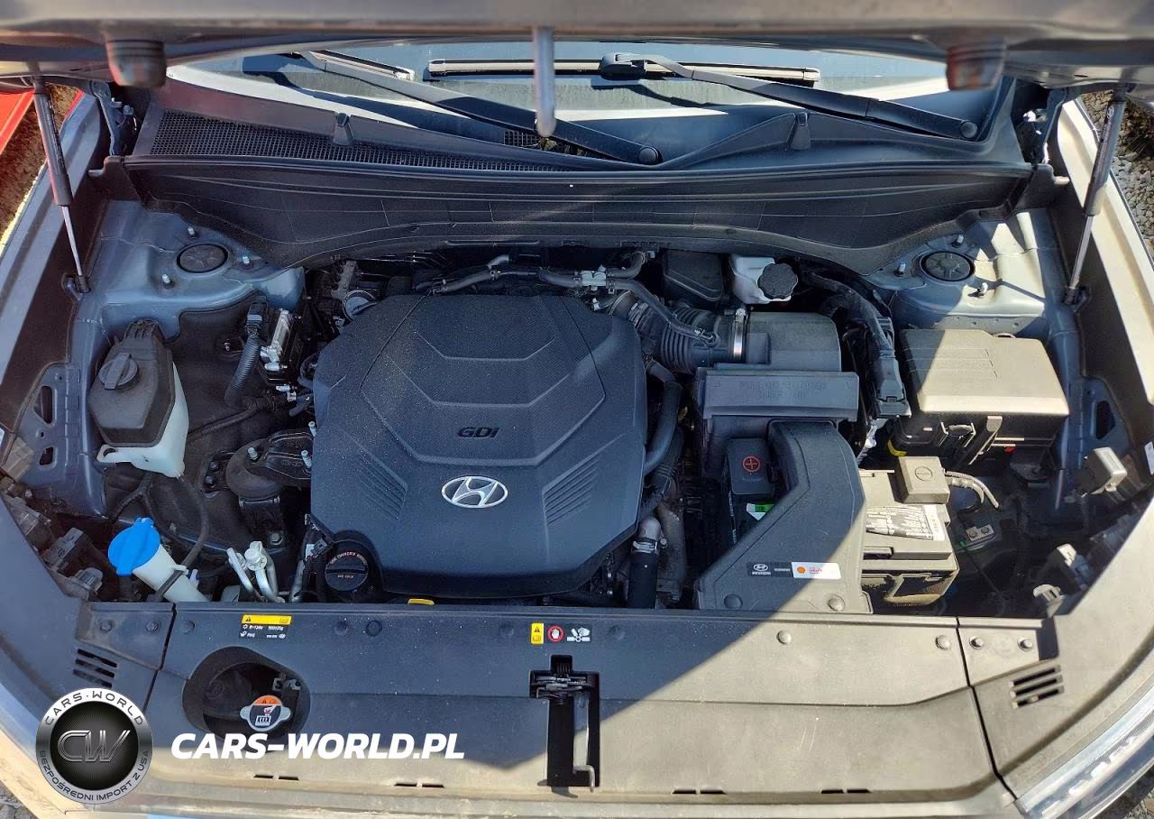 2020 Hyundai Palisade Sel VIN:KM8R34HE0LU105877 - 12