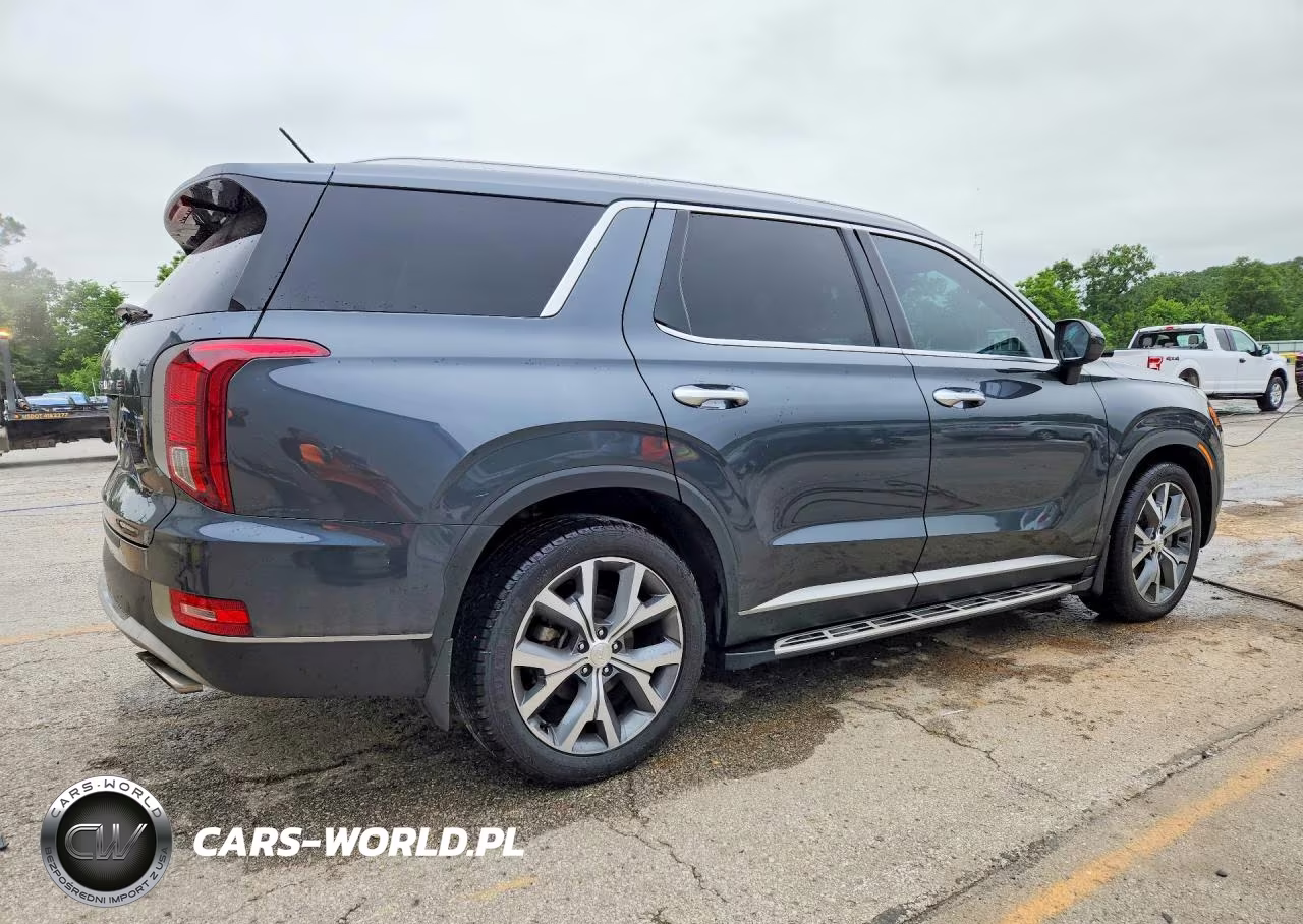 2020 Hyundai Palisade Sel VIN:KM8R34HE0LU105877 - 3