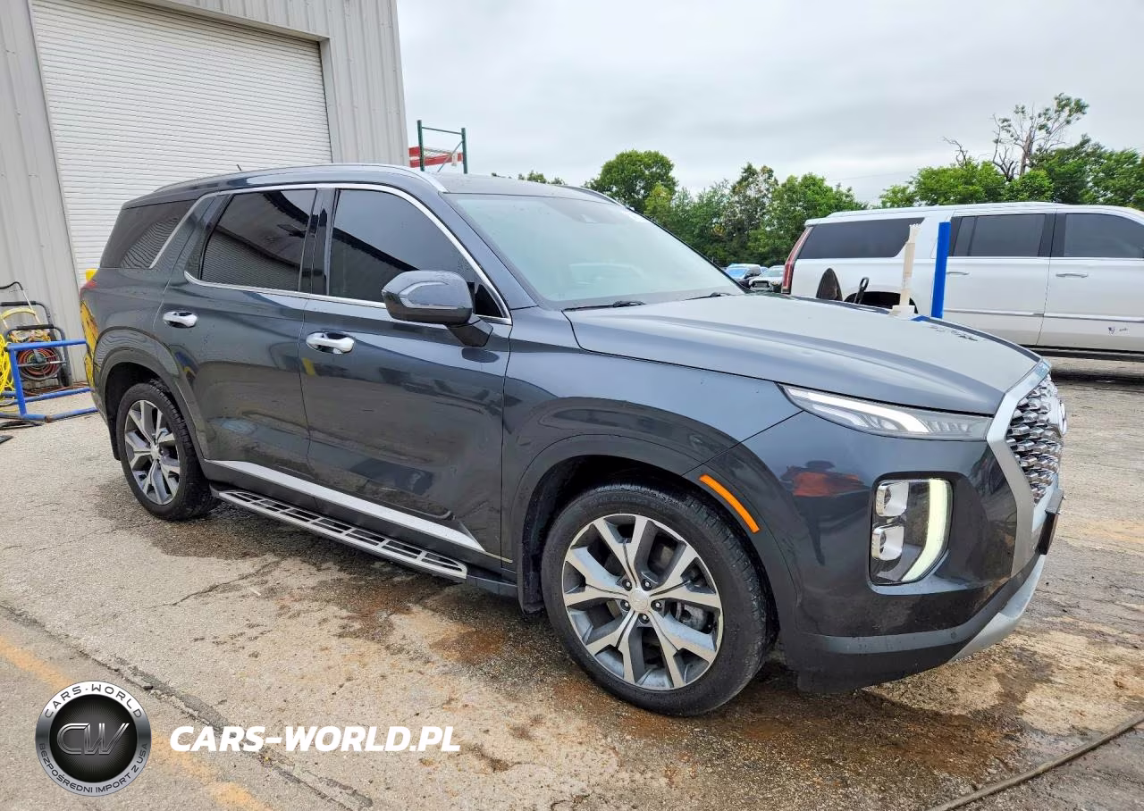 2020 Hyundai Palisade Sel VIN:KM8R34HE0LU105877 - 4