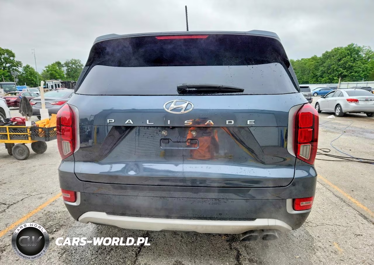 2020 Hyundai Palisade Sel VIN:KM8R34HE0LU105877 - 6