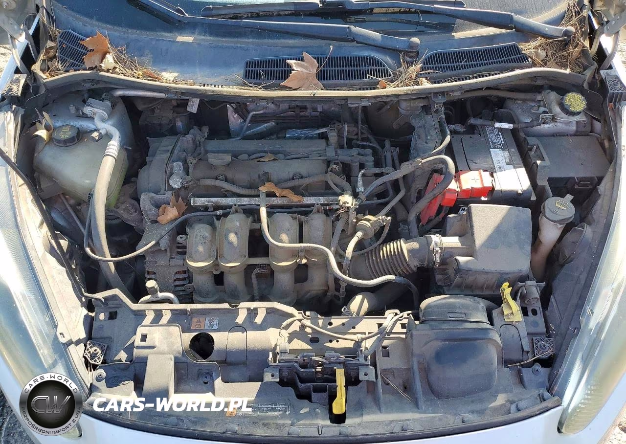 2014 Ford Fiesta VIN:3FADP4BJ7EM240795 - 11