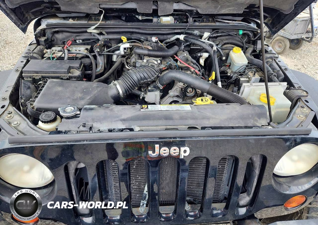 2009 Jeep Wrangler Unlimited Rubicon VIN:1J4GA691X9L765300 - 11