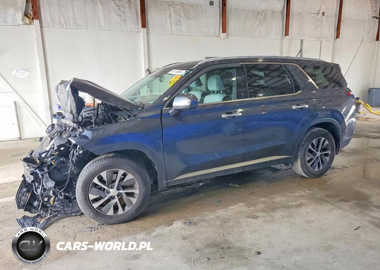 2020 Hyundai Palisade Sel