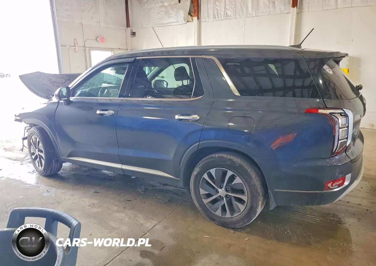 2020 Hyundai Palisade Sel VIN:KM8R24HEXLU066248 - 2