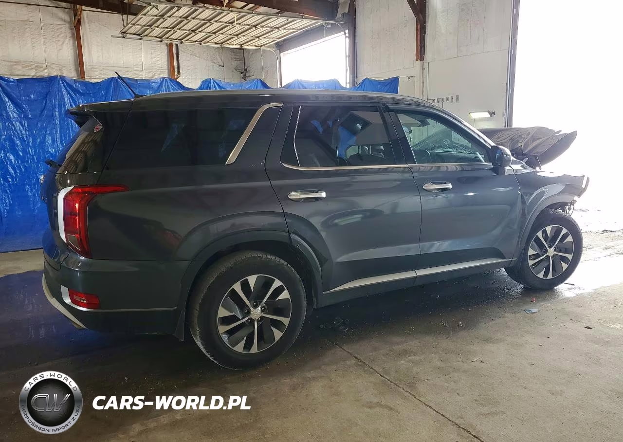 2020 Hyundai Palisade Sel VIN:KM8R24HEXLU066248 - 3