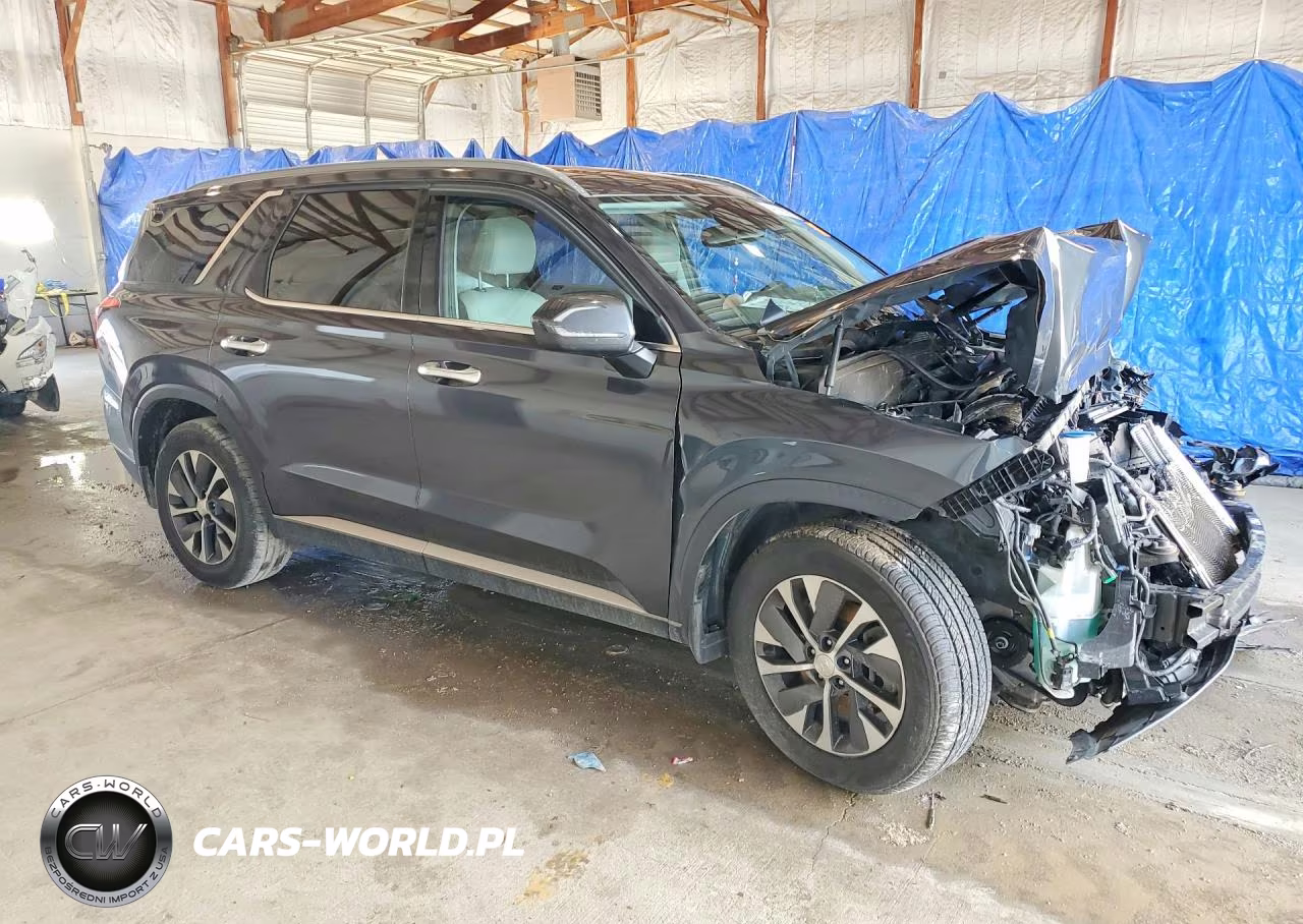 2020 Hyundai Palisade Sel VIN:KM8R24HEXLU066248 - 4