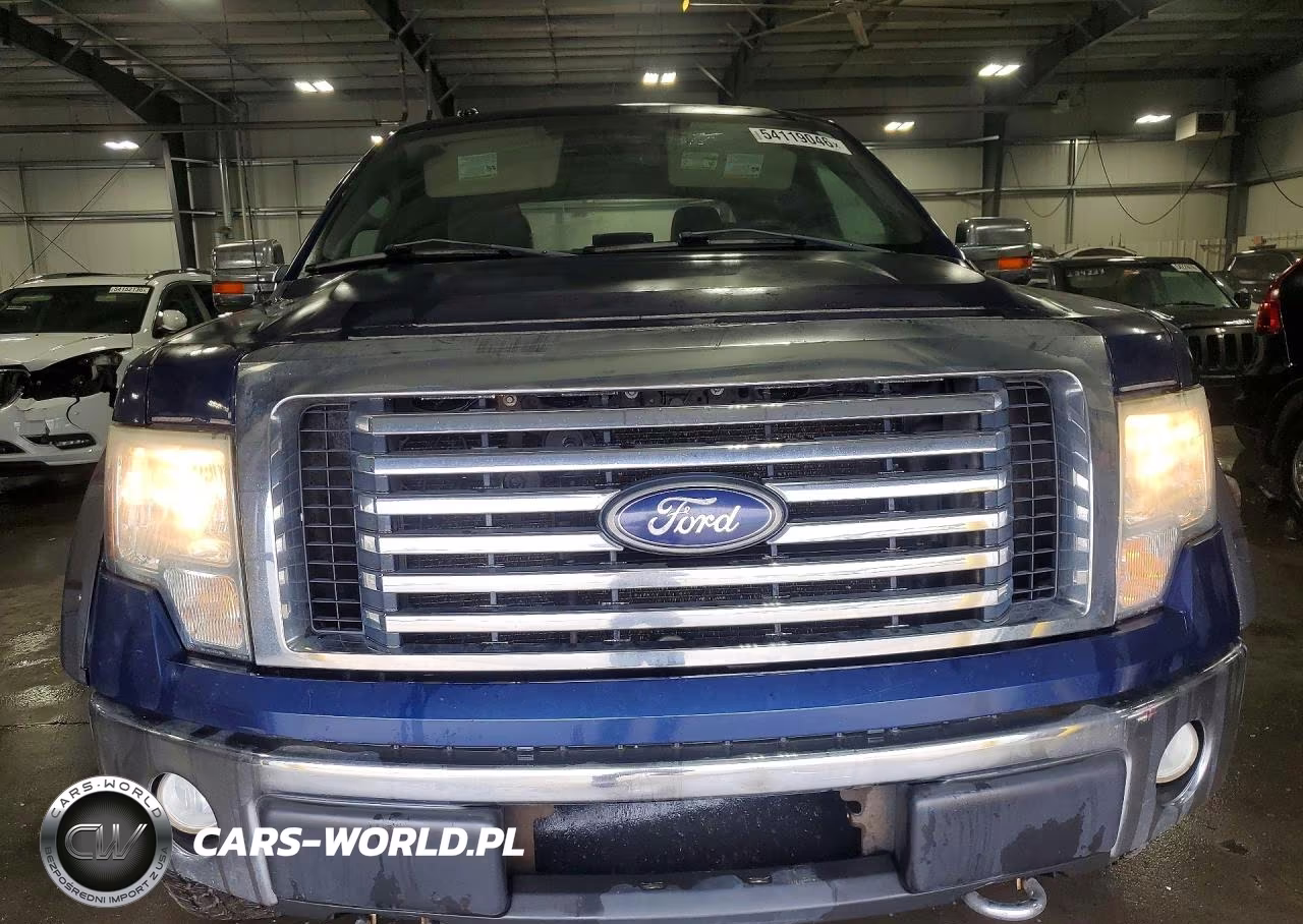 2010 Ford F150 Supercrew VIN:1FTFW1EV3AFA23774 - 5