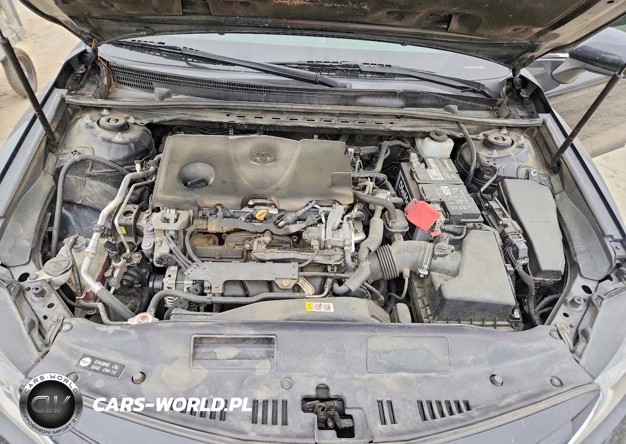 2019 Toyota Camry Le VIN:4T1B11HKXKU705302 - 11