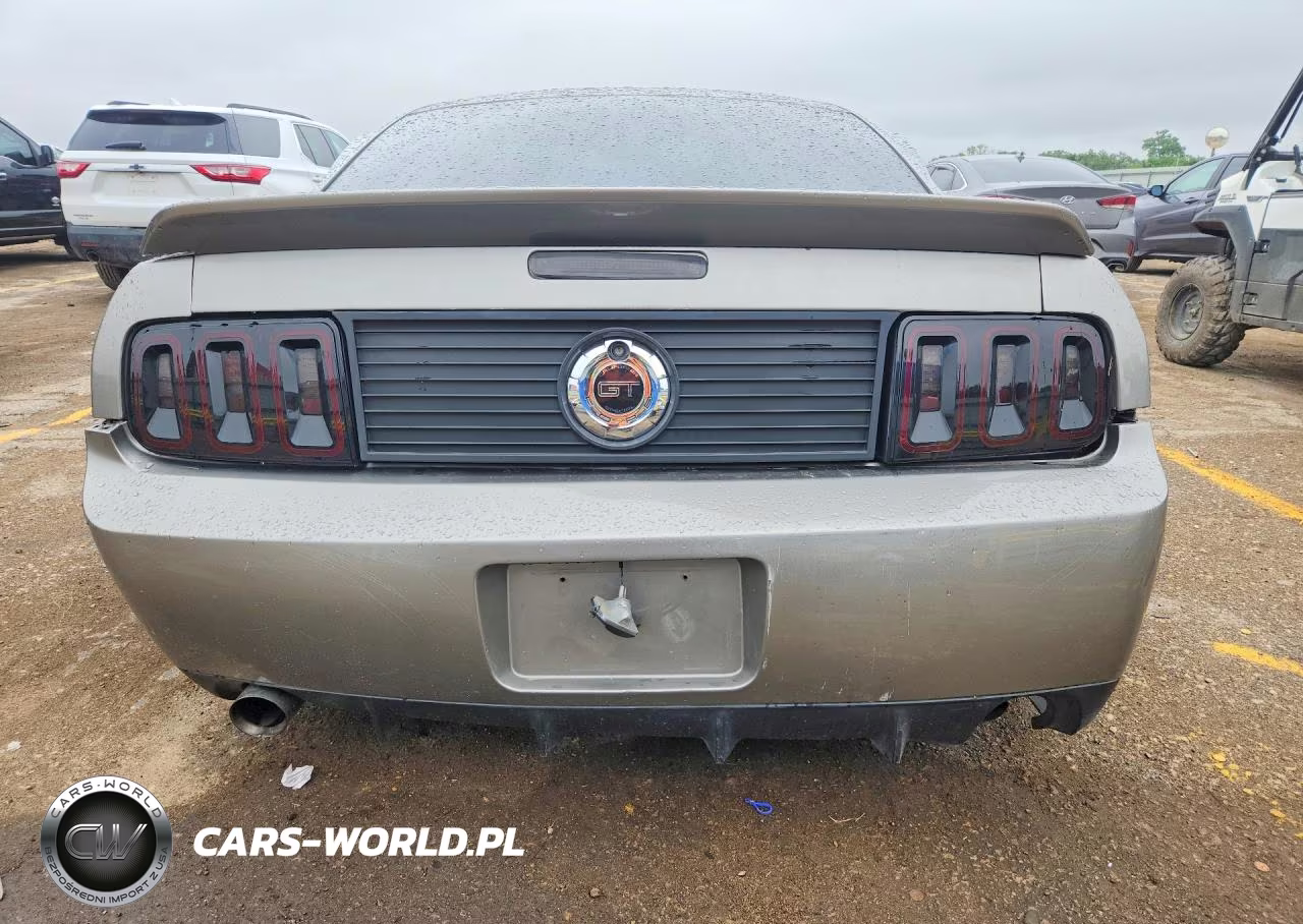 2008 Ford Mustang Gt VIN:1ZVHT82H285166351 - 6
