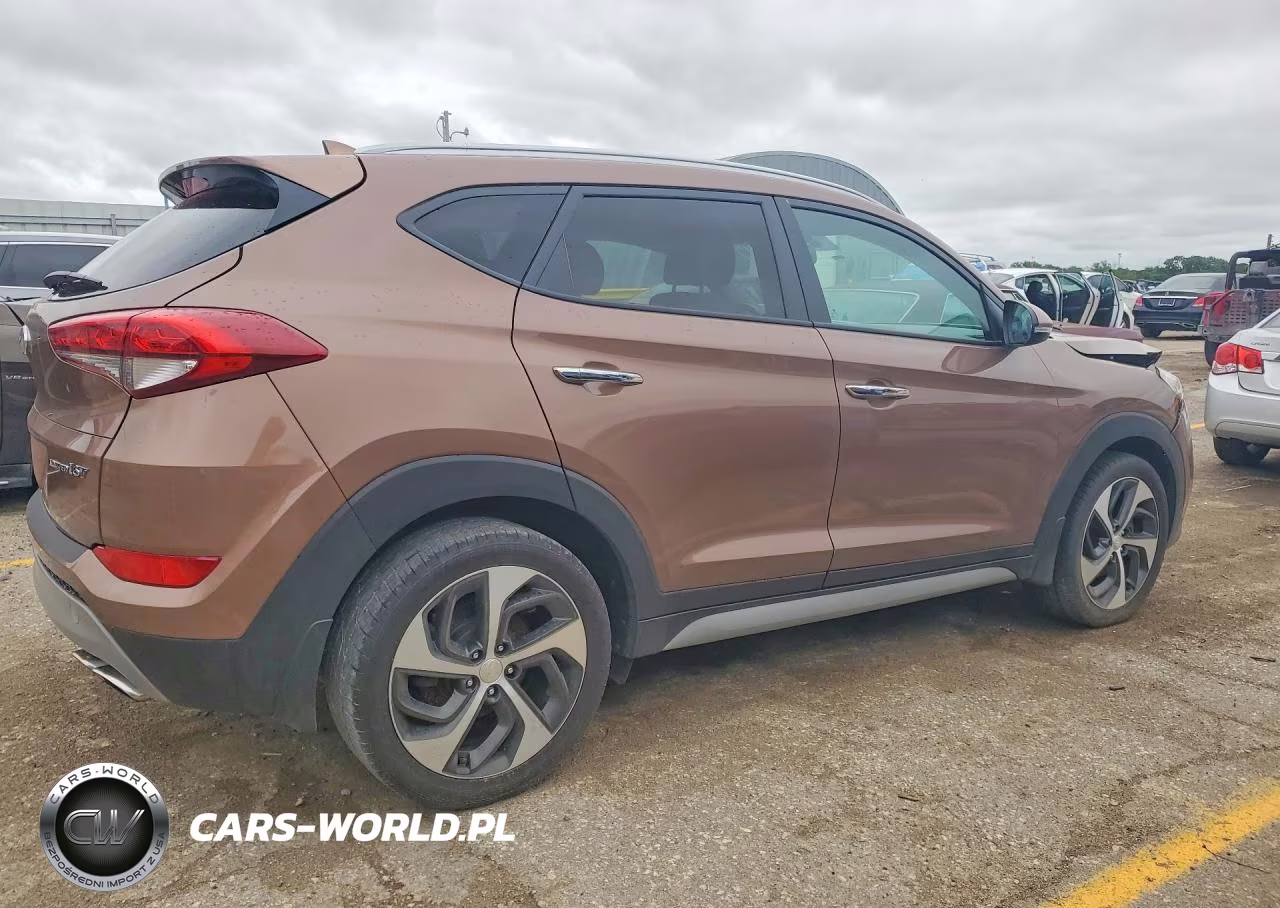 2017 Hyundai Tucson Limited VIN:KM8J33A27HU385084 - 3