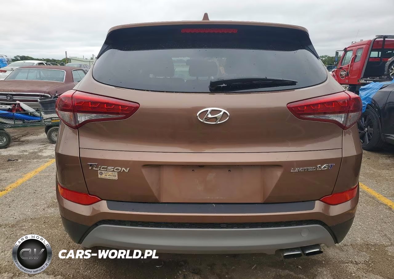 2017 Hyundai Tucson Limited VIN:KM8J33A27HU385084 - 6